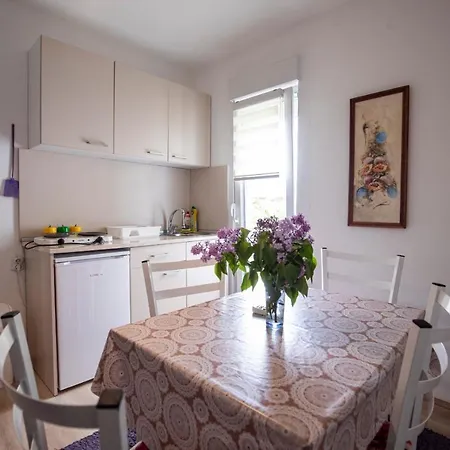 Didic Guest house Soko Banja