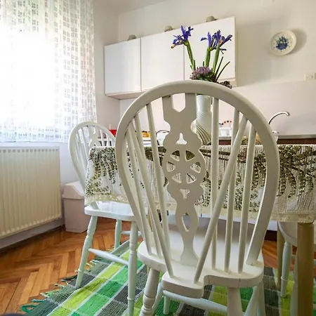 Didic Pensjonat Sokobanja