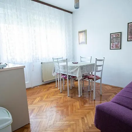 Pensjonat Didic Sokobanja