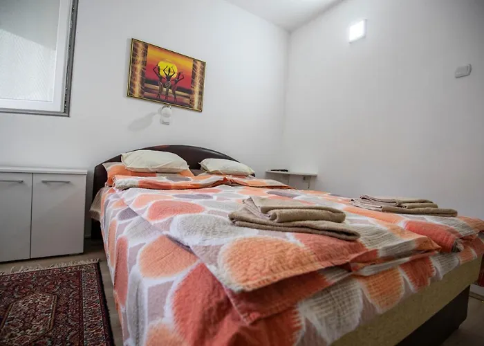 Didic * סוקו בניה