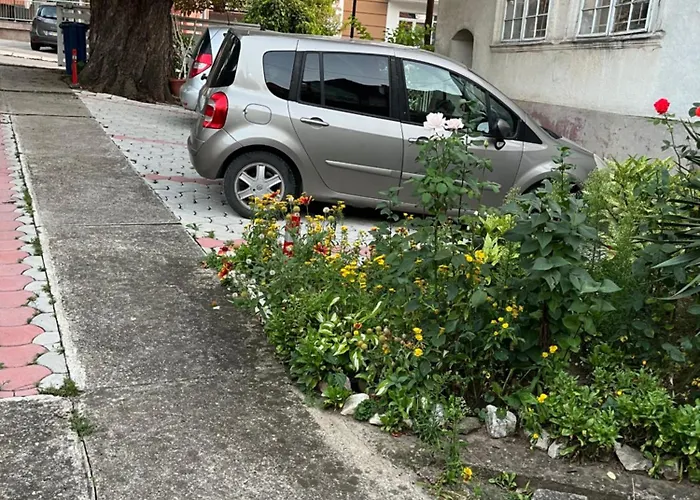 Didic סוקו בניה